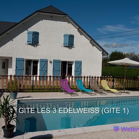 Les 3 Edelweiss - Gite 1 Ou Gite 2 Arette Buitenkant foto