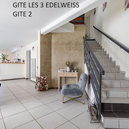 Les 3 Edelweiss - Gite 1 Ou Gite 2 Arette Buitenkant foto