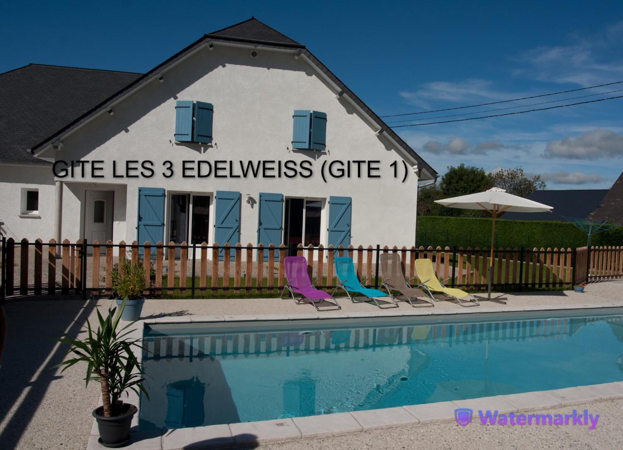 Les 3 Edelweiss - Gite 1 Ou Gite 2 Arette Buitenkant foto
