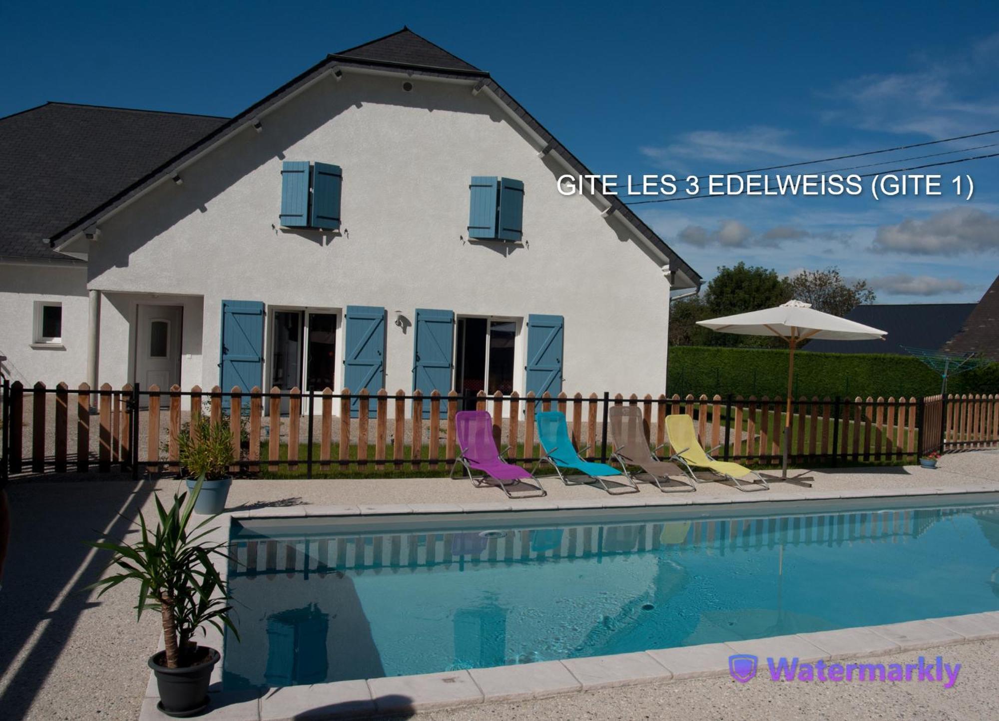 Les 3 Edelweiss - Gite 1 Ou Gite 2 Arette Buitenkant foto