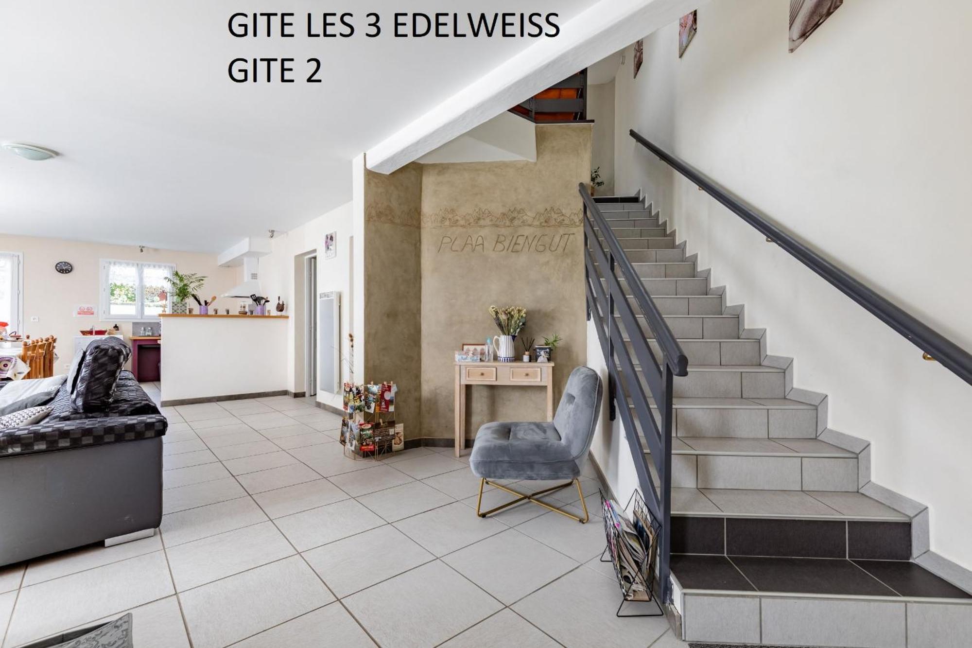 Les 3 Edelweiss - Gite 1 Ou Gite 2 Arette Buitenkant foto